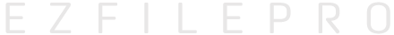 EZFILEPRO, LLC
